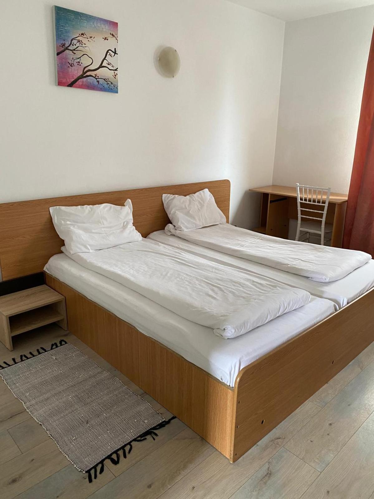 Motel Dacia 赛比什 外观 照片