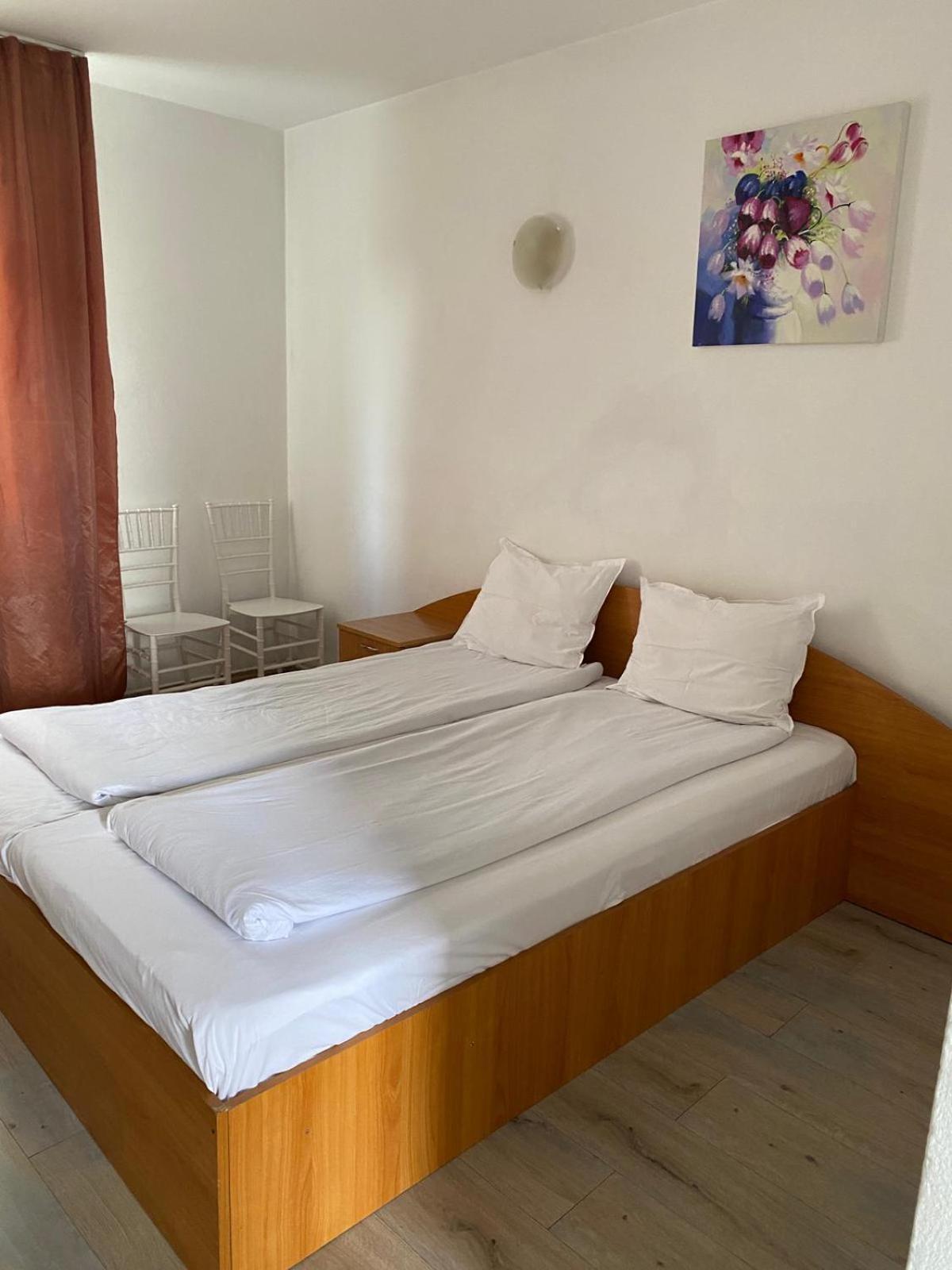 Motel Dacia 赛比什 外观 照片