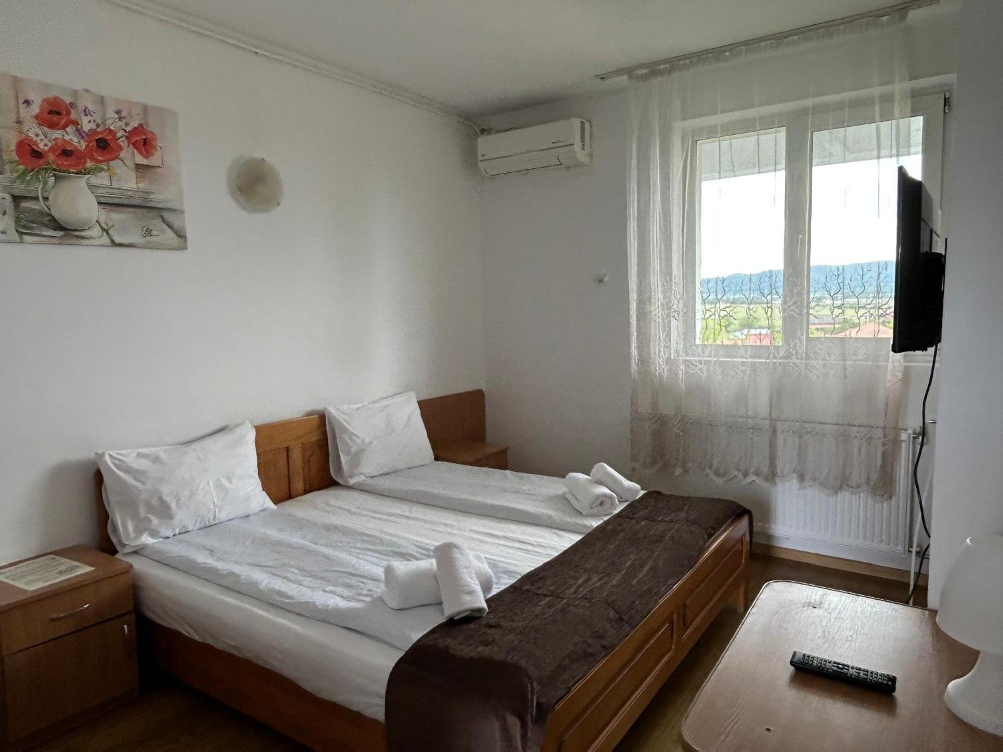 Motel Dacia 赛比什 外观 照片