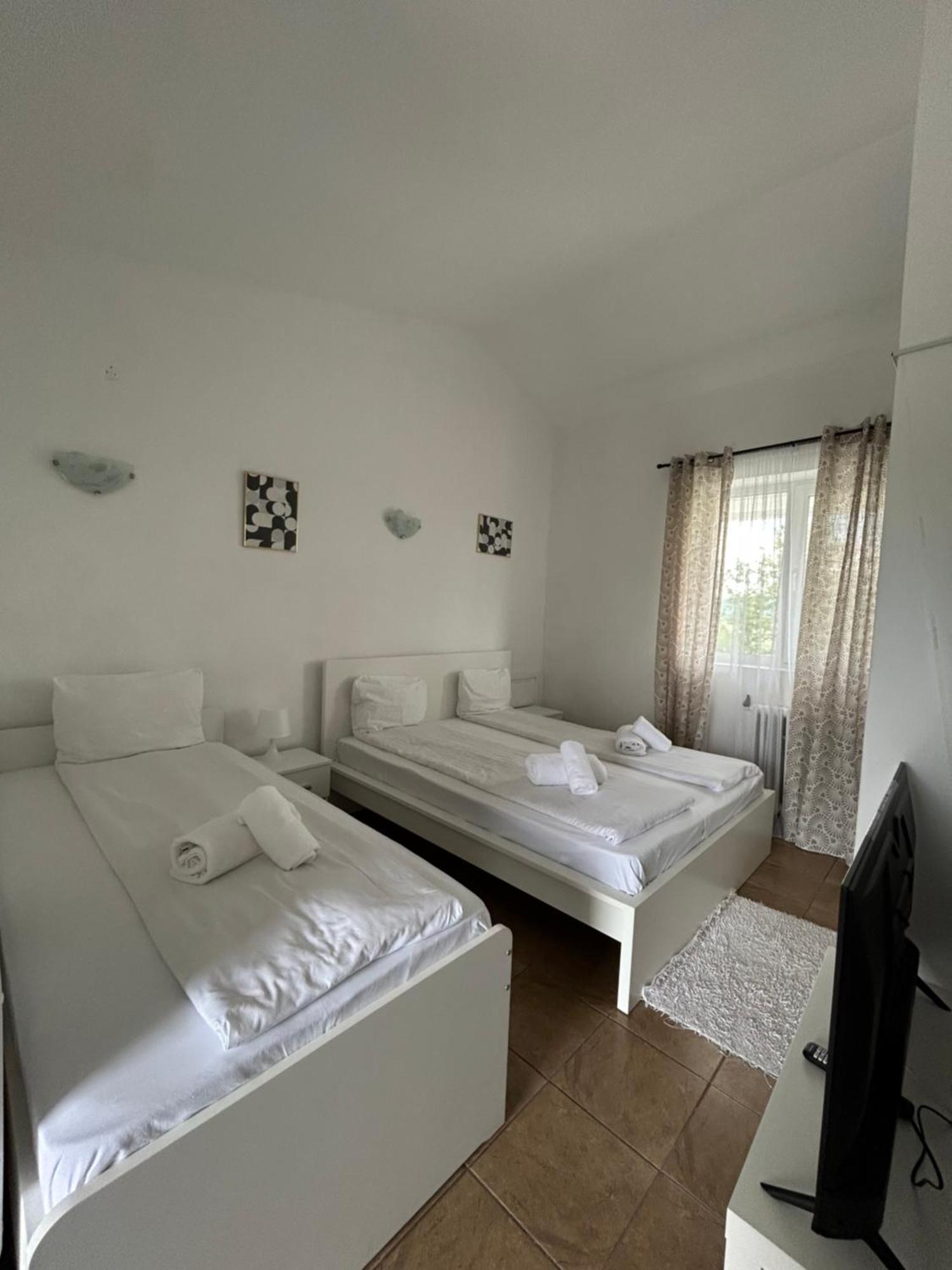 Motel Dacia 赛比什 外观 照片